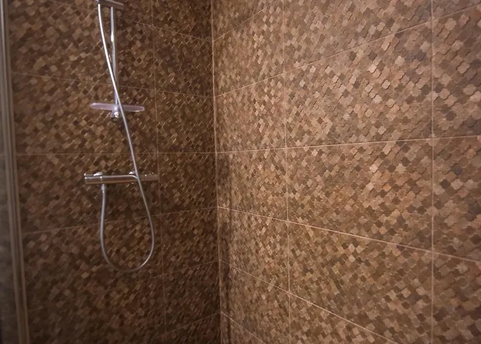 Boutique 23 ゲストハウス Douăzeci şi Trei August