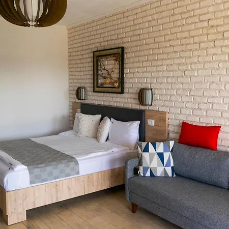 Pensiune Boutique 23 Douăzeci şi Trei August