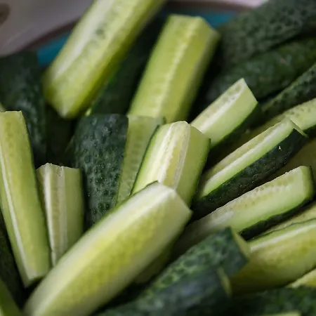 בית הארחה Boutique 23